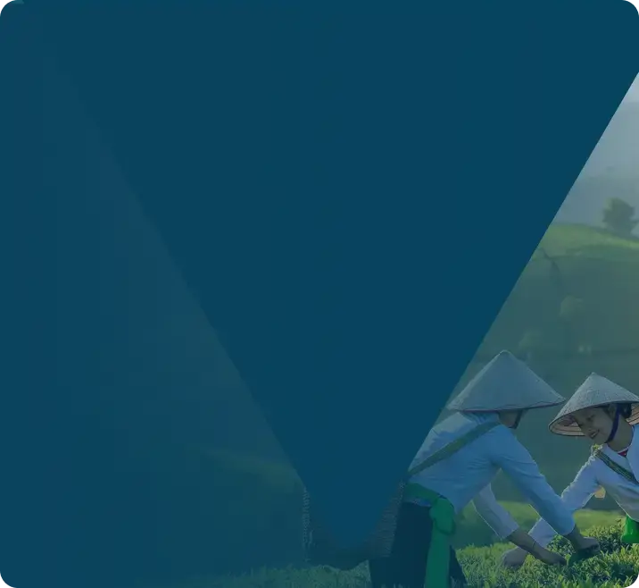 Vietnam Sourcing