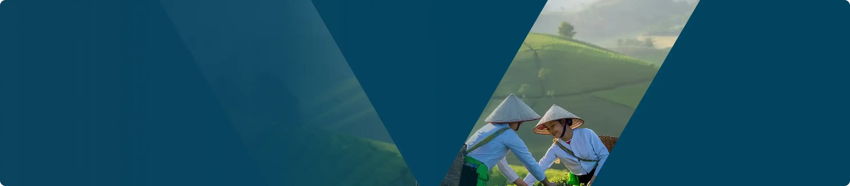 Vietnam Sourcing