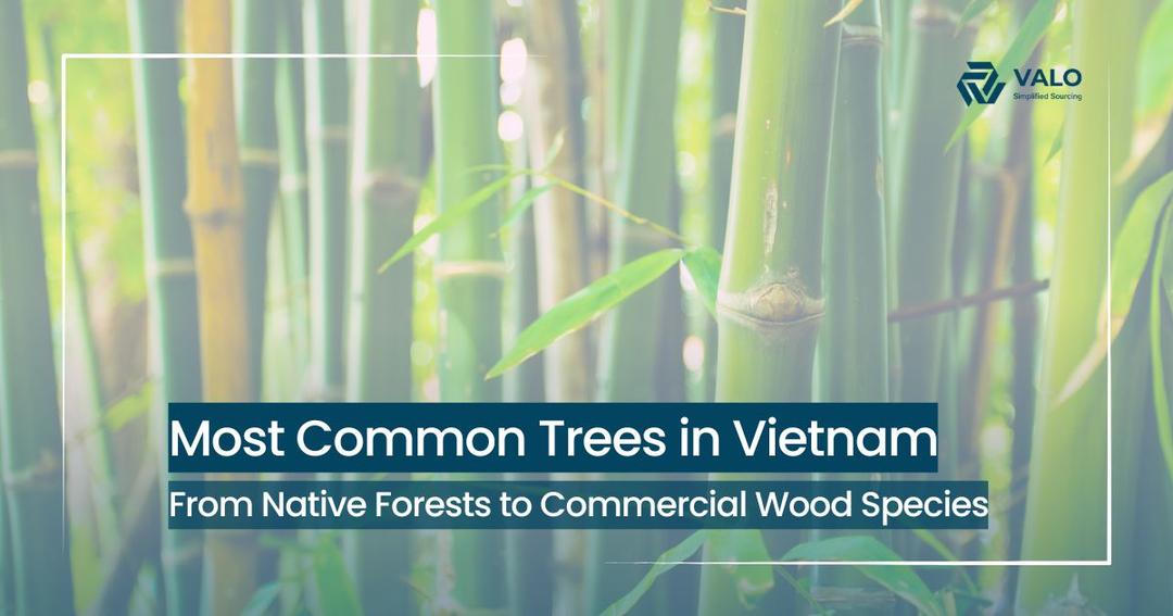 Discovering the Most Common Trees in Vietnam: A Comprehensive Guide