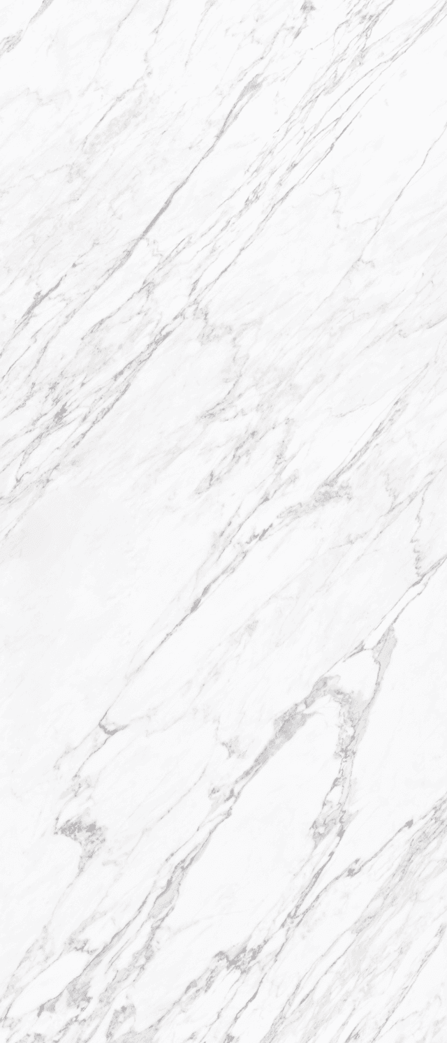 Sintered Stone — Statuary Bianco