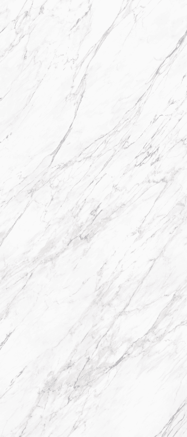 Sintered Stone — Statuary Bianco