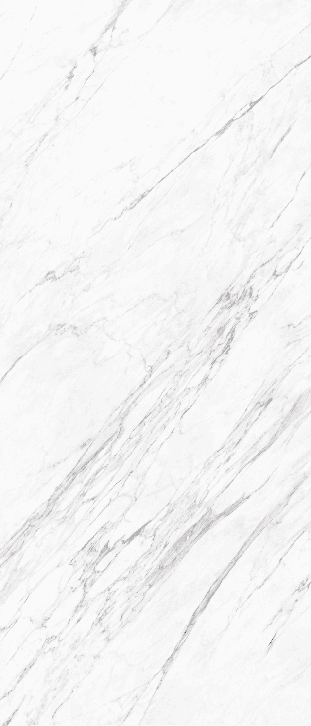 Sintered Stone — Statuary Bianco